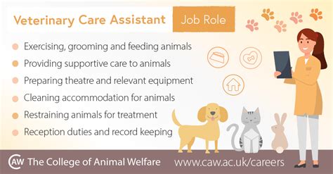 New Bet Assistant Jobs (Apply Today) .